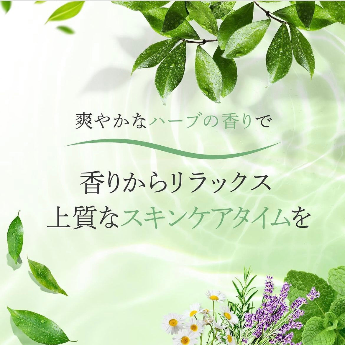 3箱10%off】エニシーグローパック neutral6 6包装入り(グリーン)【春季 ...